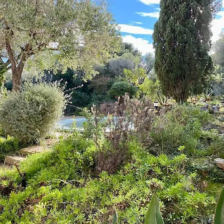 D'exception Avec Piscine , Au Bord De La Mer * Hyeres